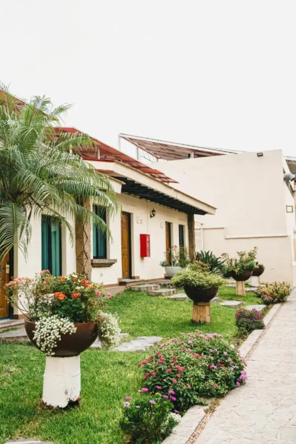 Hotel Posada Virreyes 5