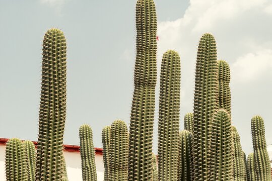 Tour image 10
