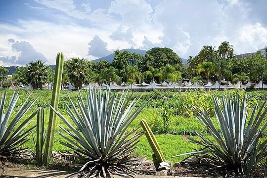 Tour image 3