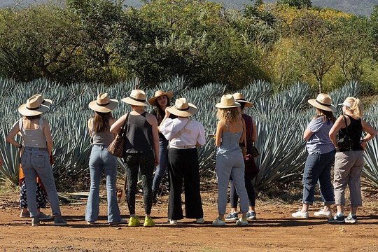 Tour image 6